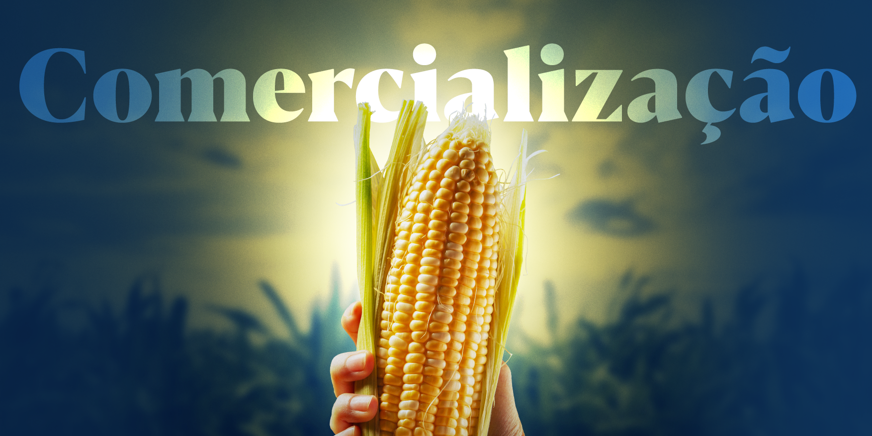 Banner Revenda